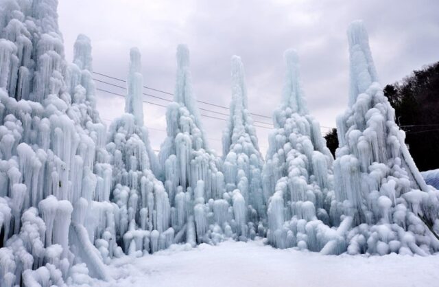 사진=청양군 서포터즈 이민숙