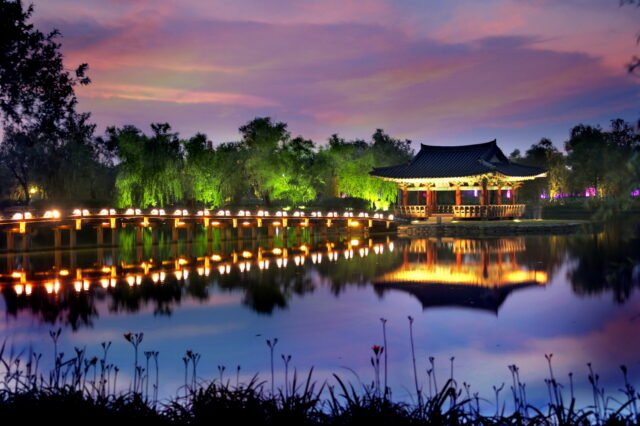 궁남지 야경(사진=부여군)