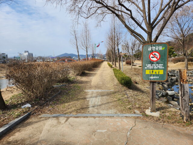 지난해 백세건강공원 사면에 조성된 ‘생활환경 숲’(사진=청양군)