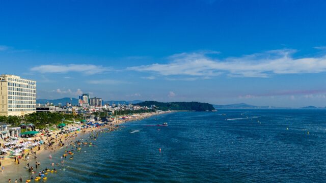 7월 4일 개장 예정인 대천해수욕장(사진=보령시)