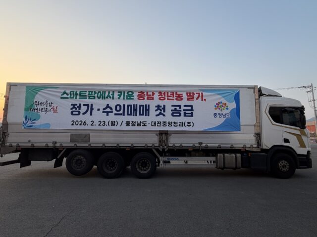 충남 청년농 딸기 정가수의매매 첫공급(사진=충청남도)
