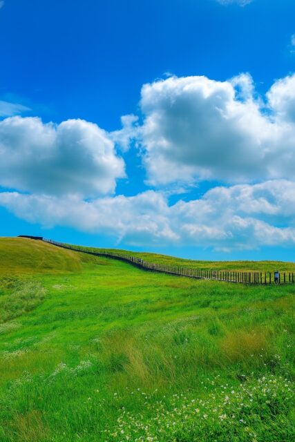 서산 한우목장 웰빙산책로(사진=충청남도)