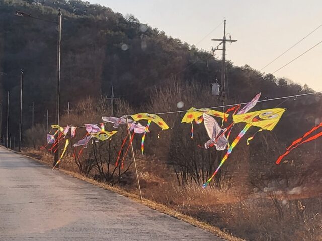 제3회 신리마을 연날리기 행사(사진=부여군)