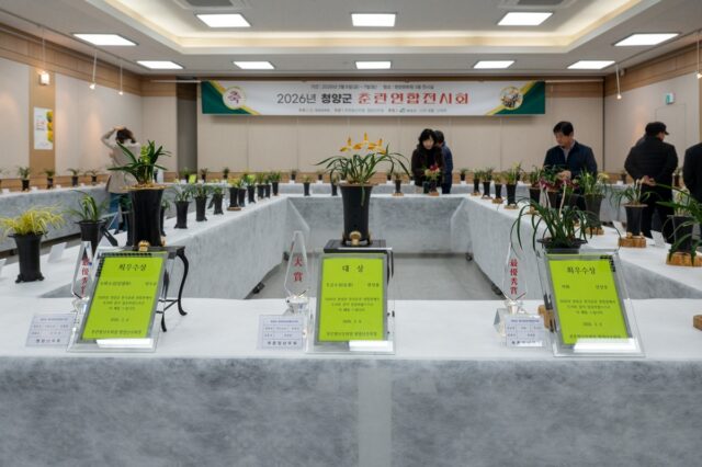 2026 춘란연합전시회 장면(사진=청양군)