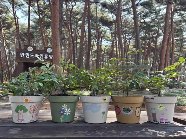 2025년 행사에서 화분꾸미기(사진=충청남도)