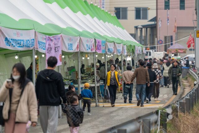 지난 10일부터 12일까지 열린 제5회 토마토·벚꽃 문화 축제 모습(사진=청양군)