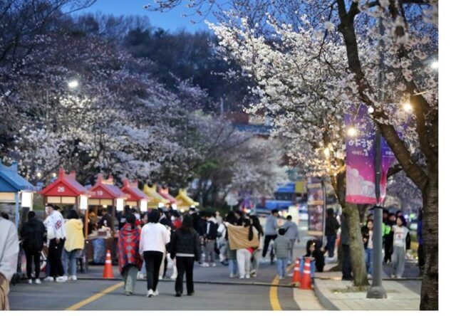축제장 직거래장터 운영 장면(사진=부여군)