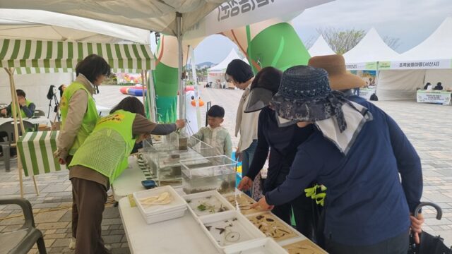 2026 고향마실 축제 체험 모습(사진=충청남도)