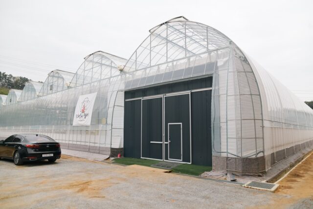 부여군 충화면에 위치한 '태양의 절기' 스마트팜 농장 전경