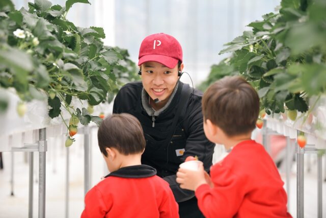 "이게 바로 맛있는 딸기란다." 태양의 절기 강태양 대표가 붉게 익은 딸기를 가리키며 쿠키어린이집 아이들에게 수확 방법을 설명하고 있다. 강 대표의 다정한 눈빛에서 농작물과 아이들을 향한 애정이 묻어난다.