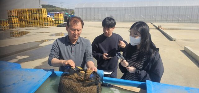 벼 안전육묘 현장점검(사진=부여군)