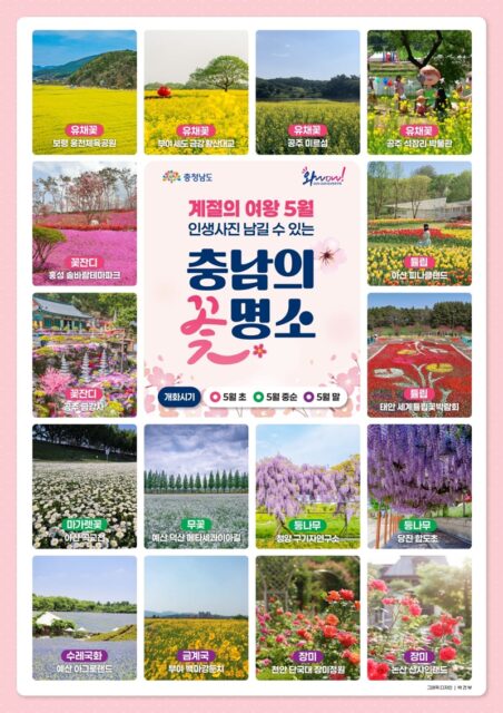 계절의 여왕 ５월、 충남의 꽃명소
