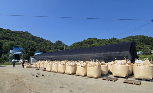 청양군, 국산 밀 정부비축 매입 실시(사진=청양군)